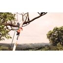 SERRUCHO PODADOR RAMAS ALTAS - 78380681