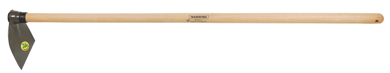 AZADA CON MANGO - 77206604